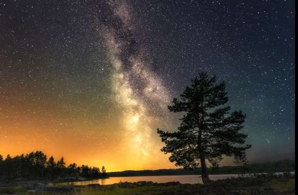 Starry Night Galaxy Tree