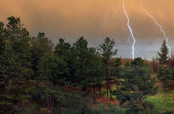 Stormy Serenity of Trees and Lightning