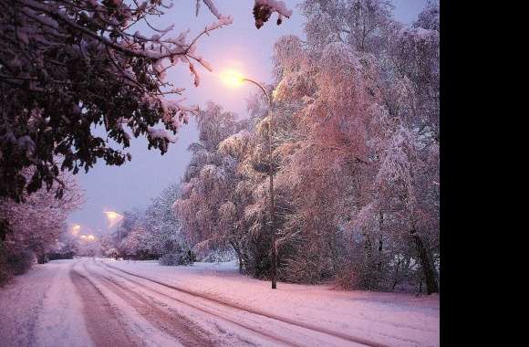 Street Light Tree Dusk Snow Road Earth Photography Winter