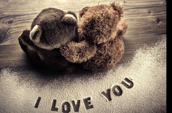 Stuffed Animal Teddy Bear Photography Love