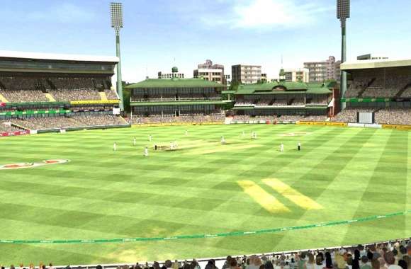 Stunning Cricket Stadium