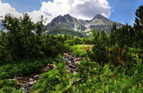 Stunning HDR Landscape A Captivating