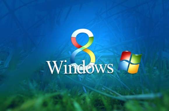 Stunning Windows 8 - Embrace Microsoft Technology