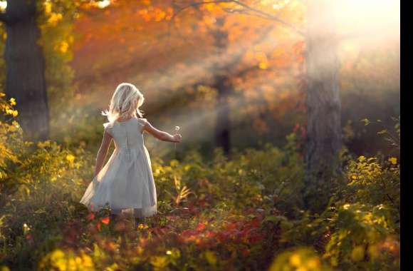 Sunlight Landscape Fall Dandelion Sunshine Forest Photography Child