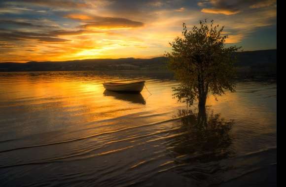 Sunset Boat Lonely Tree Photography Lake