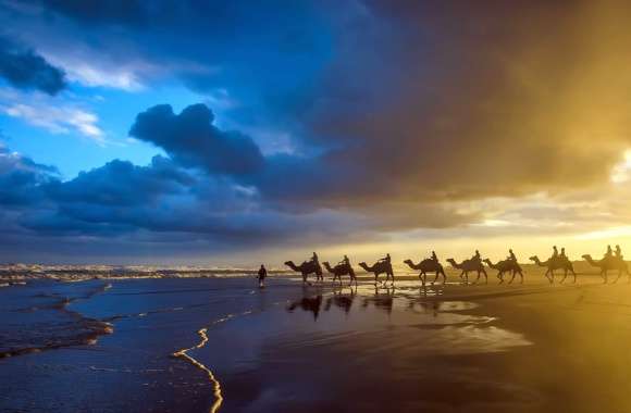 Sunset Caravan A Serene of Camels on the Beach