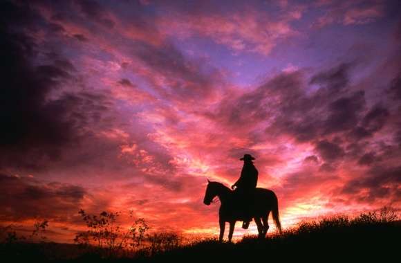 Sunset Cowboy Silhouette - in Purple and Pink Skies