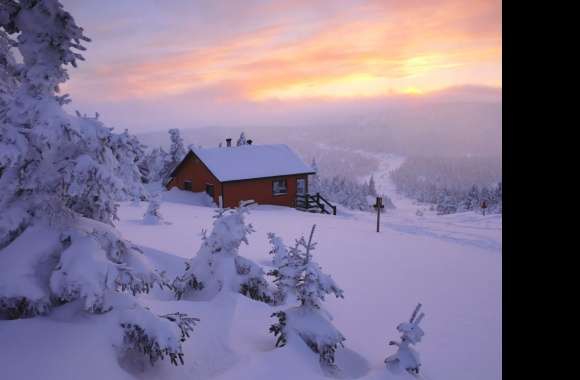 Swedish Winter Wonderland