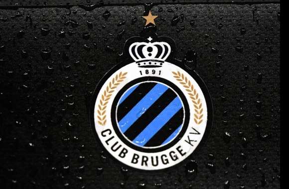 Symbol Emblem Crest Logo Soccer Club Brugge KV Sports