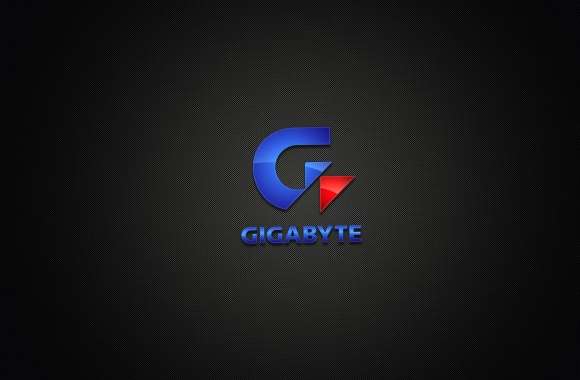 Technology Gigabyte