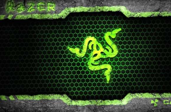 Technology Razer