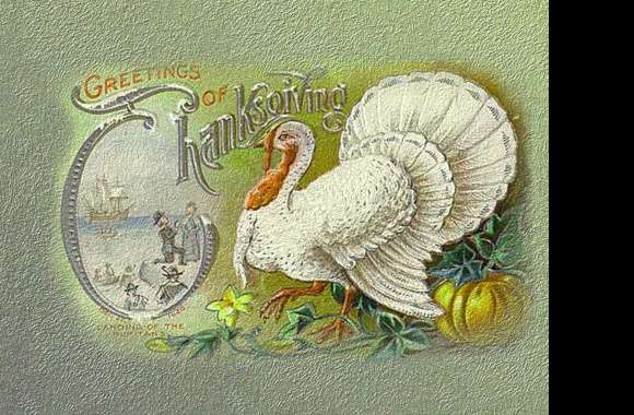 Thanksgiving Greetings A Festive