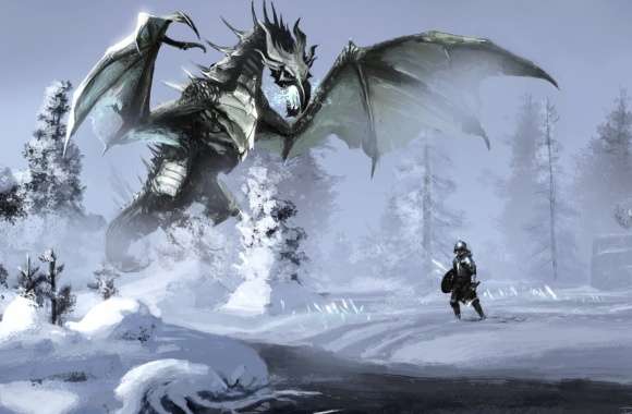 The Elder Scrolls V Skyrim - Warrior vs Dragon