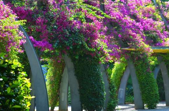 The Grand Arbour In South Bank Parklands Brisbane