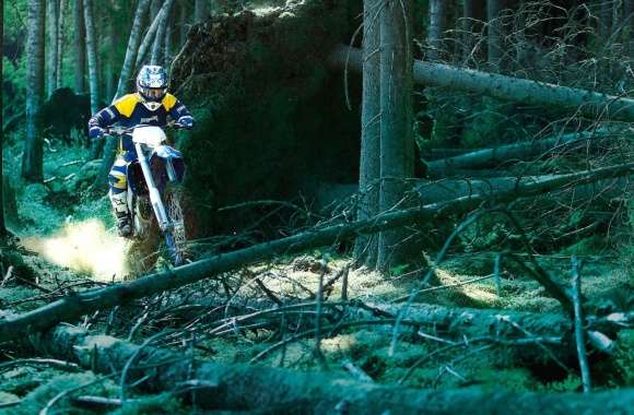 Thrilling Motocross Adventure –