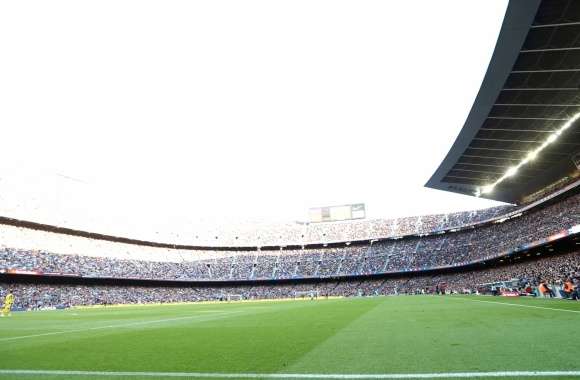 Thrilling Soccer Stadium Experience