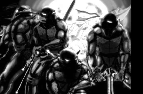 TMNT Heroes in Shadows