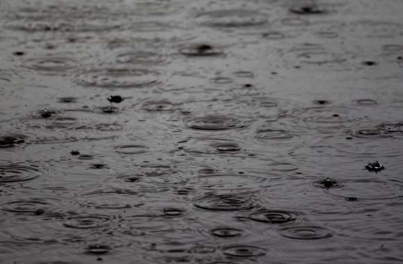 Tranquil Black & White Rain Drops