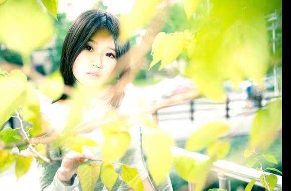 Tranquil Gaze Asian Woman in Nature -