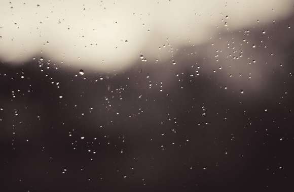 Tranquil Rain Photography