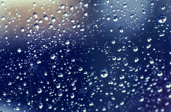 Tranquil Raindrops Photography