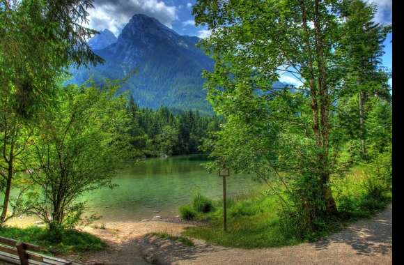 Tranquil Spring Landscape HD of a Pond in Germany