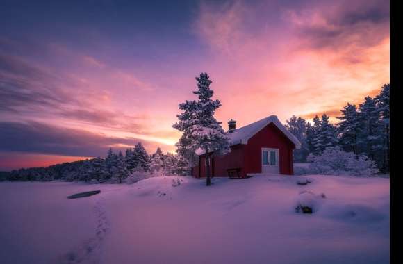 Tree Forest Sunset Snow Cabin House Photography Winter