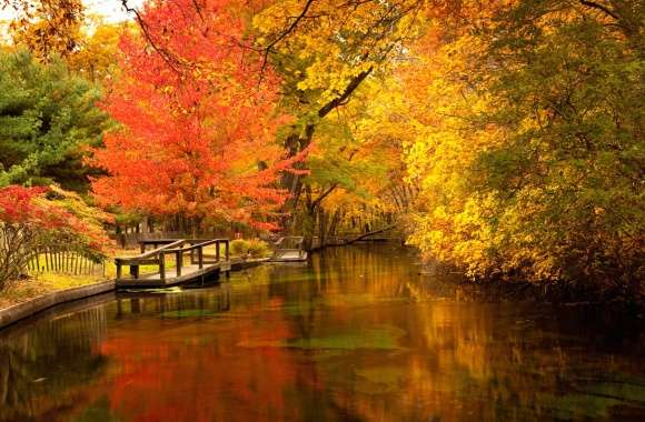 Tree Pond Fall Photography Park wallpapers hd quality