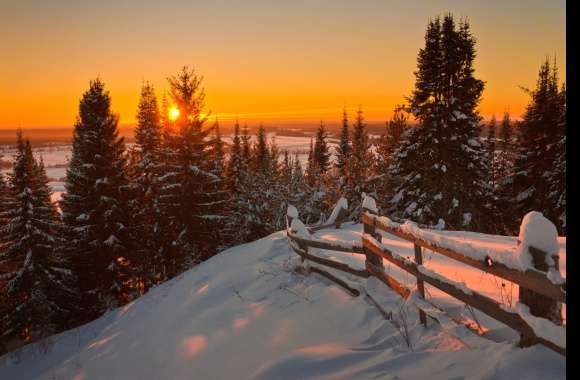 Tree Sunset Fence Snow Field Nature Earth Photography Winter