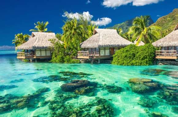 Tropical Lagoon Haven -