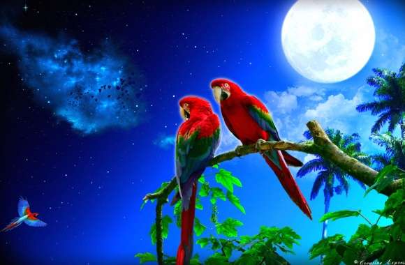 Tropical Moonlit Parrots