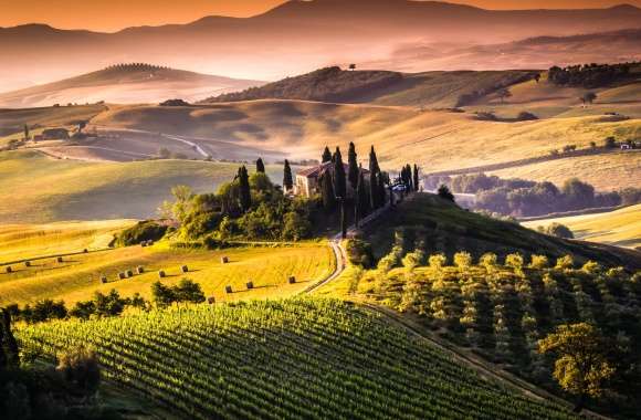 Tuscany Dreamscape Stunning of Scenic Vineyards