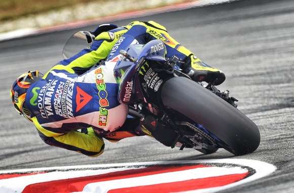 Ultimate MotoGP Action -