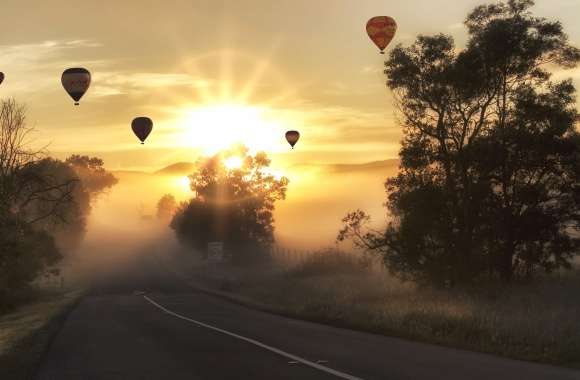 Vehicle Fog Sunbeam Sun Tree Landscape Road Hot Air Balloon Photography Sunrise