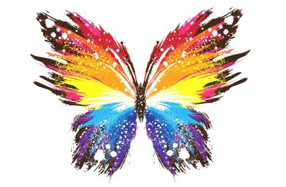 Vibrant Butterfly - wallpapers hd quality