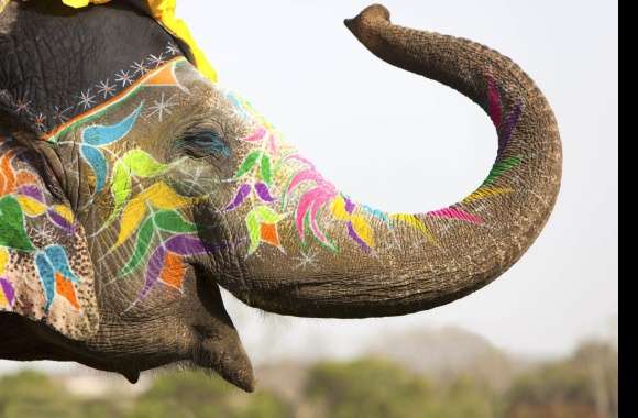 Vibrant Elephant Celebrating Holi