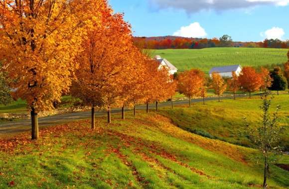 Vibrant Fall Landscape