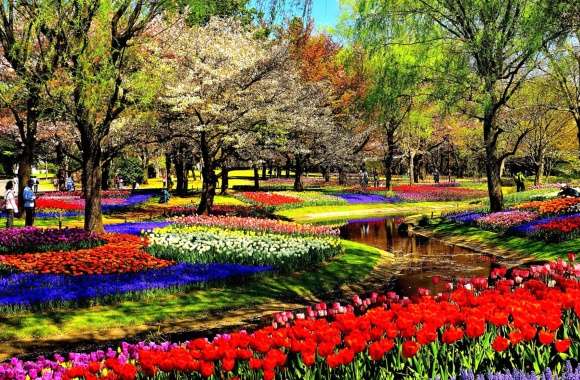 Vibrant Park Bliss Stunning