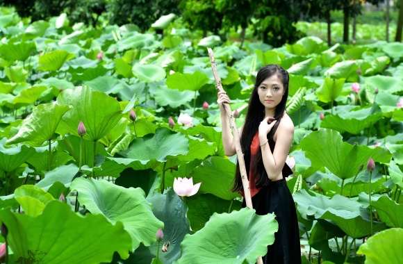 Vietnamese Woman in Lotus Pond - wallpapers hd quality