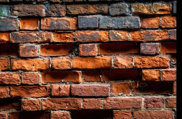 Wall Photography Brick