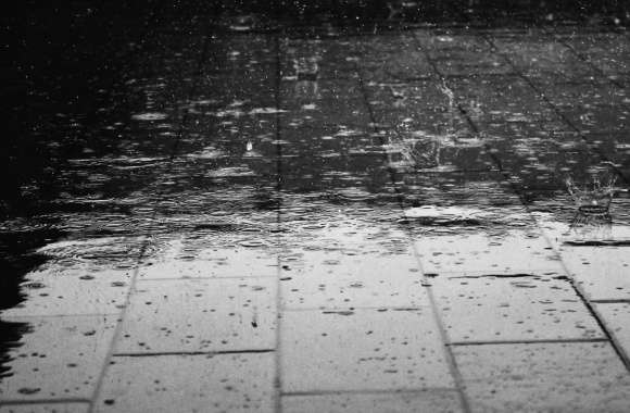 Water Water Drop Rain Photography Black & White Wallpaper