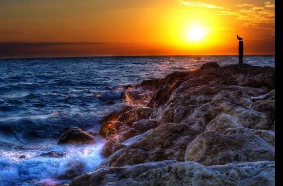 Wave Sky Landscape Nature Bird Sunset Sea Photography HDR