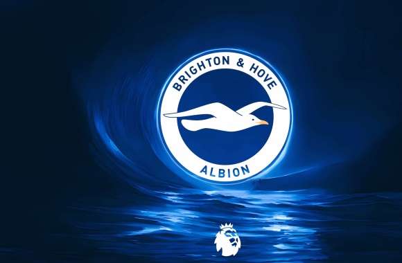 Waves Brighton F.C