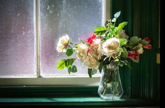 White Flower Window Vase Flower Photography Still Life