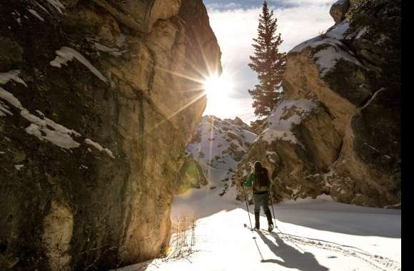 Wilderness Yellowstone Mountain Sunbeam Snow Skiing Sports