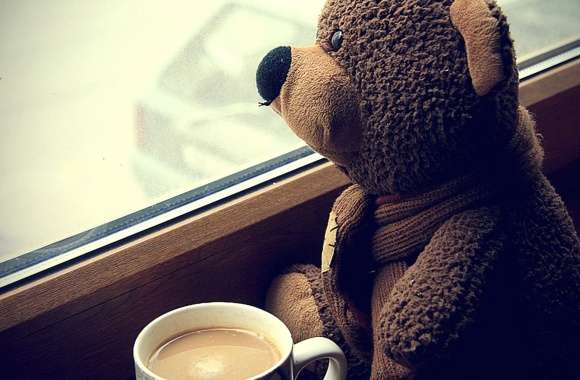 Window Mood Child Toy Bear Teddy Bear Photography Cute Wallpaper