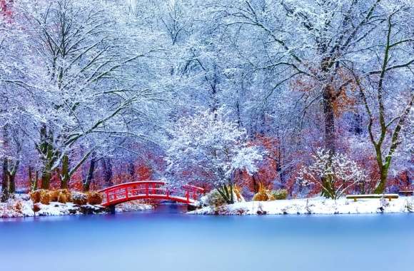 Winter Bride A Serene of a Snowy Lake and Trees