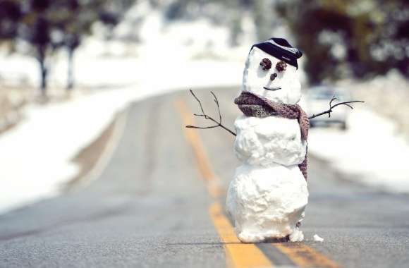 Winter Photography Snowman wallpapers hd quality