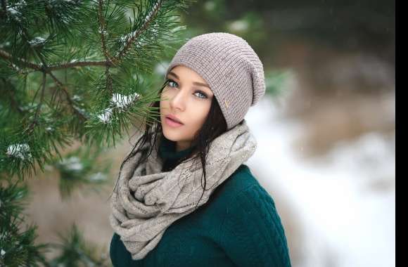 Winter Serenity -