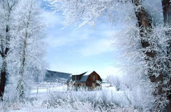 Winter Serenity A Stunning of Snowy Landscape wallpapers hd quality